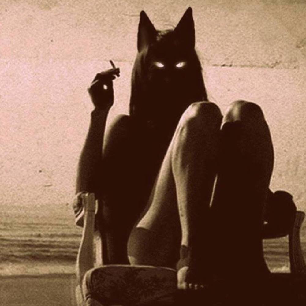 Meet your Posher, Nicoletta